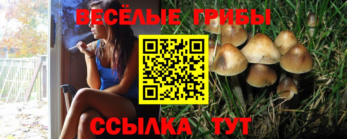 Псилоцибиновые грибы Psilocybine cubensis  Вход с VPN  как найти закладки  Псилоцибиновые грибы мухоморы  Иваново 